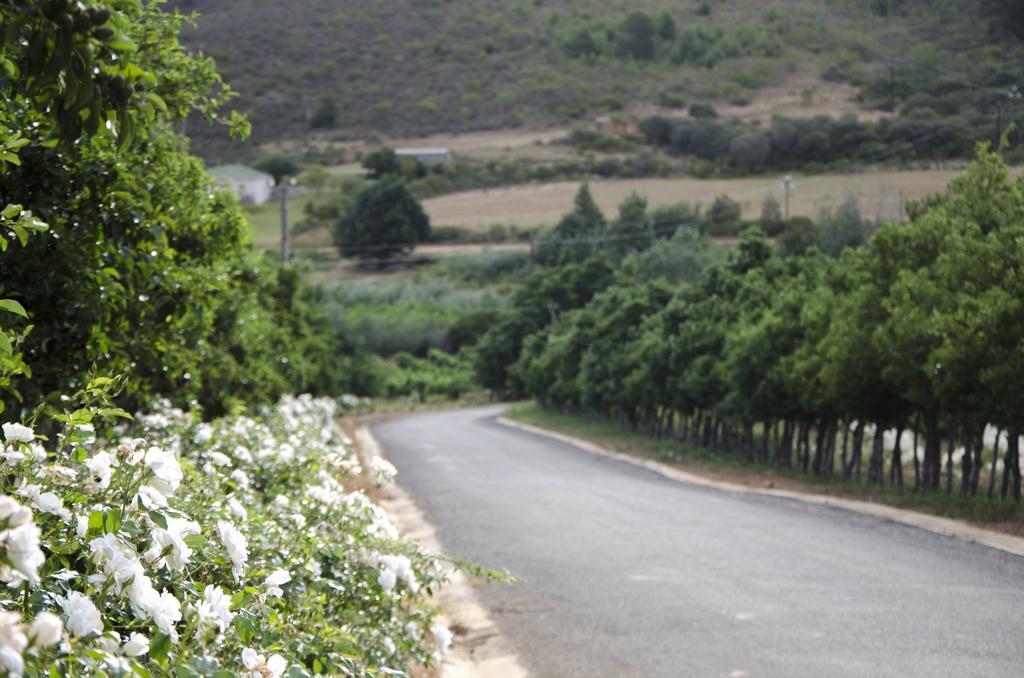 Bushmanspad Estate Boesmanspad Εξωτερικό φωτογραφία