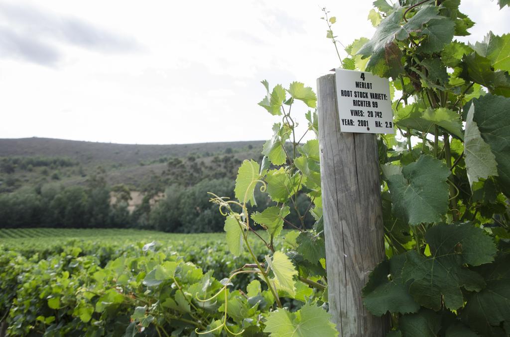 Bushmanspad Estate Boesmanspad Εξωτερικό φωτογραφία